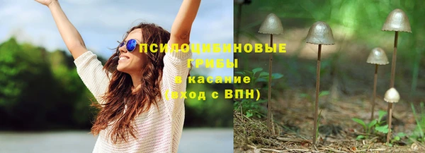 мяу мяу мука Ладушкин