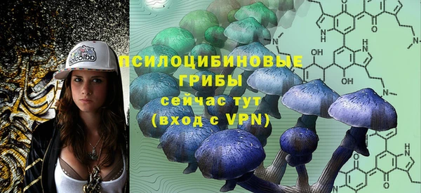 гидропоника Лабытнанги