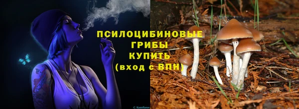 мяу мяу мука Ладушкин