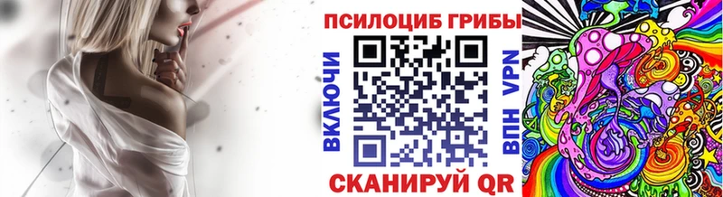 Купить  Мичуринск  Псилоцибиновые грибы Cubensis 